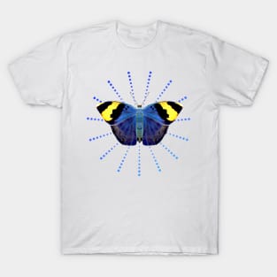 Butterfly with Graphic - Insect in Africa T-Shirt